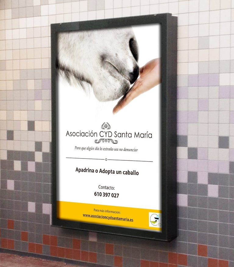 CYD Santa María — Nonprofit campaign design